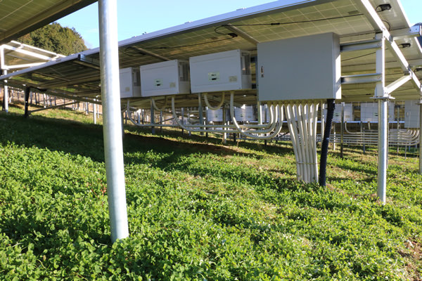 メンテナンスサービス