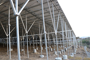 メンテナンスサービス