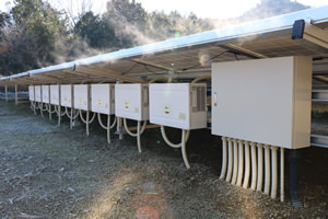 メンテナンスサービス